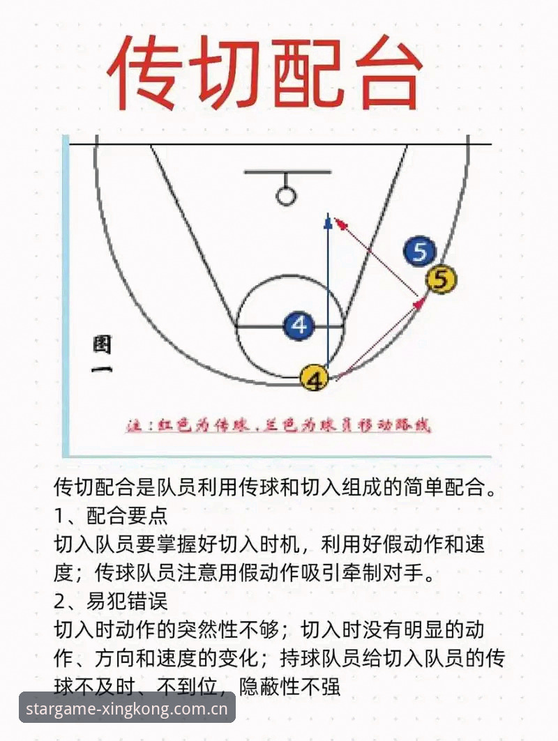 星空体育玩法介绍：从入门到精通的实战操作详解